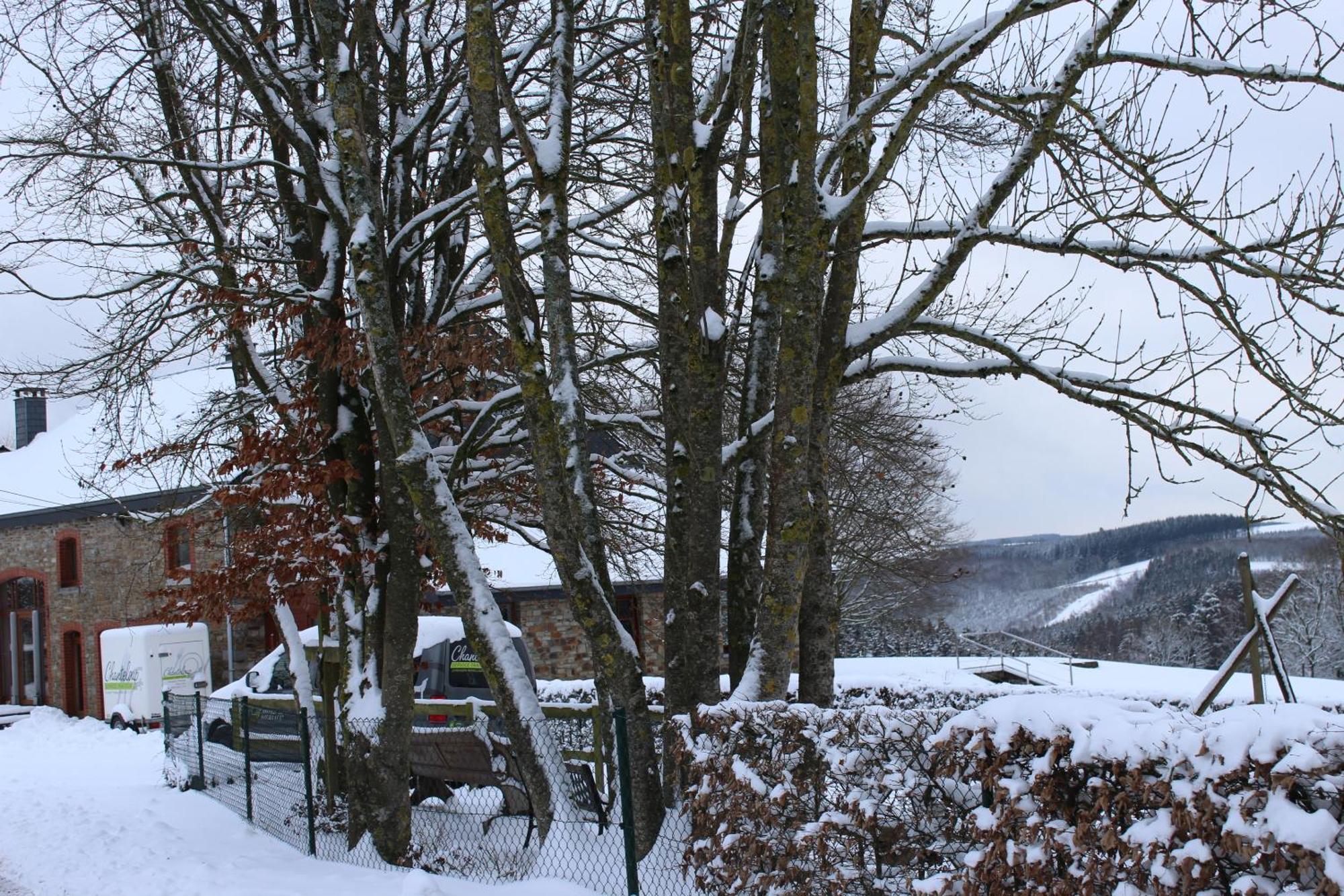 Chanteloup, Maison D'Hotes - Halleux Halleux  Esterno foto